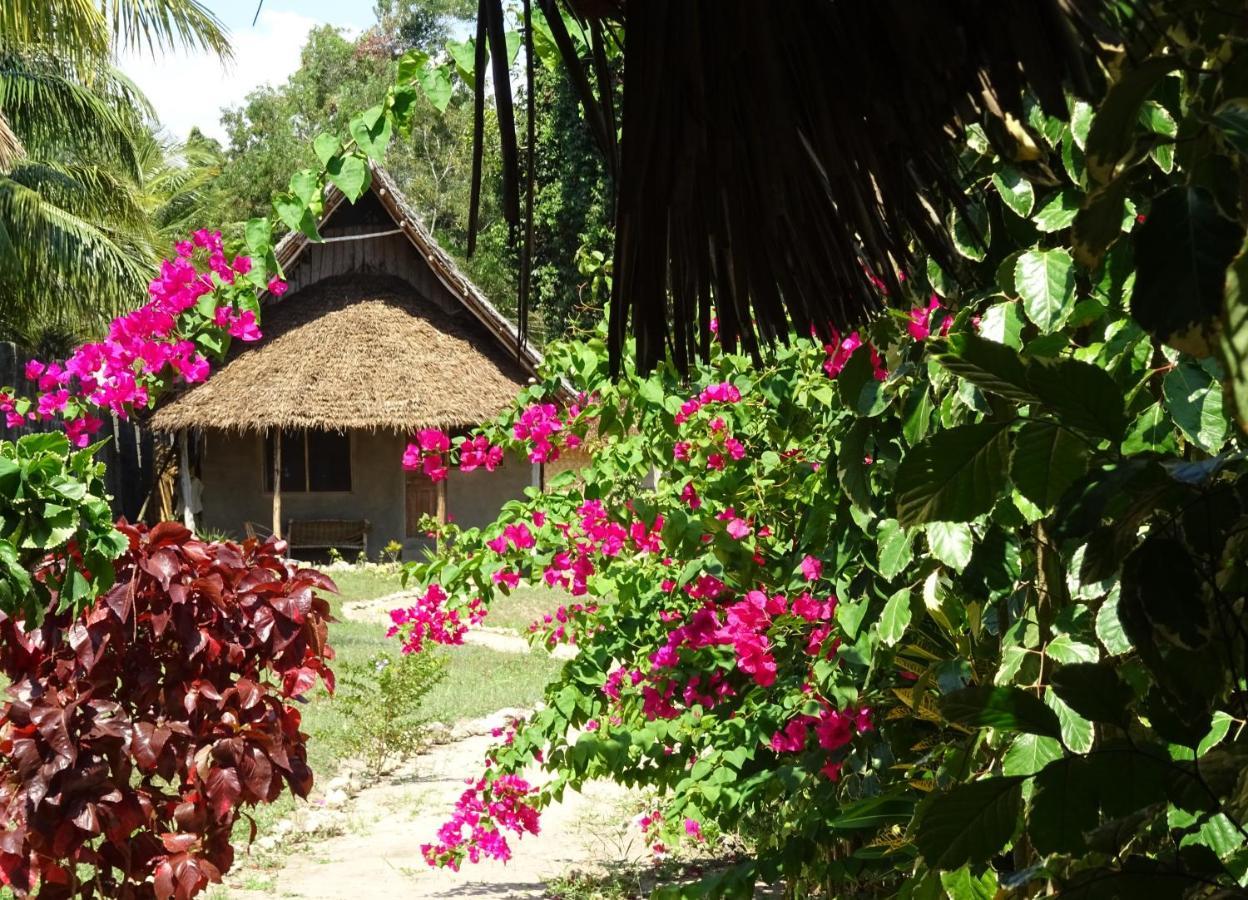 Jabar Lodge Zanzibar 외부 사진