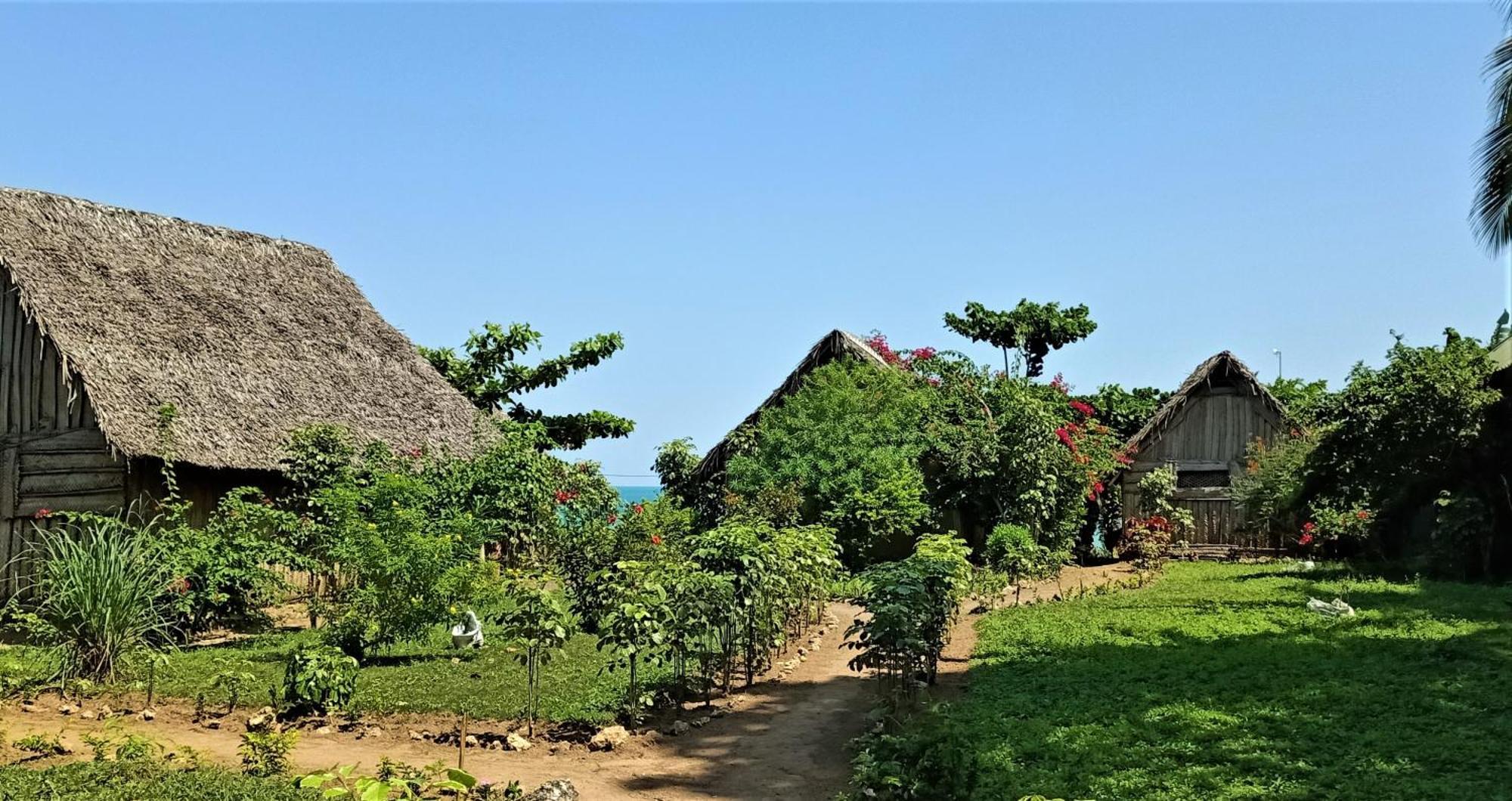 Jabar Lodge Zanzibar 외부 사진